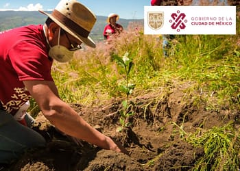 altepetl-bienestar-para-el-campo-cdmx