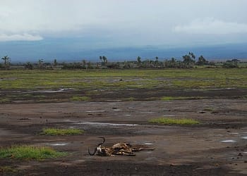 Abordar el cambio climático es la misión más importante de nuestro tiempo, y la innovación y las nuevas ideas son esenciales. Si trabajamos juntos para implementarlas, ofreceremos un mundo mejor para las poblaciones más vulnerables del mundo y para todos nosotros. Foto: Pixabay.