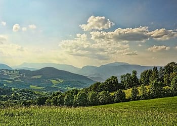 Los líderes mundiales deben aprovechar este momento para crear una agenda de inversiones transformadora que reconozca que, sin la naturaleza, nuestro planeta, y mucho menos nuestras economías, no pueden sobrevivir. Foto: Pixabay.