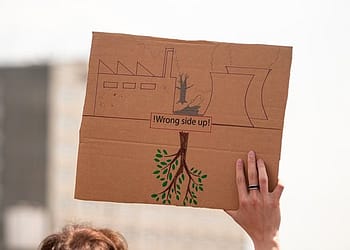 ¿Podemos devolver la cordura a nuestras políticas nacionales? Puede que sea un cliché decir que el cambio empieza en casa, pero lo que es un cliché suele ser cierto. Foto: Pixabay.
