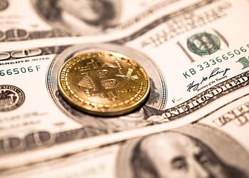 Las criptomonedas se basan en una sola cosa: el secretismo. Tenemos monedas perfectamente válidas como el dólar, el yen, el euro y otras. Y contamos con plataformas de intercambio eficientes para comprar bienes y servicios. La demanda de criptomonedas surge del deseo de ocultar dinero. Foto: Pixabay.