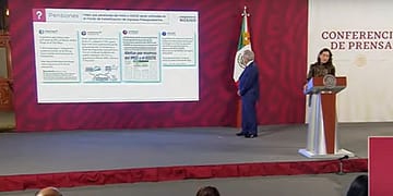 AMLO anunció que la sección “Quién es quién en las mentiras” será diaria porque está subiendo el número de falsedades | Foto: Captura de pantalla