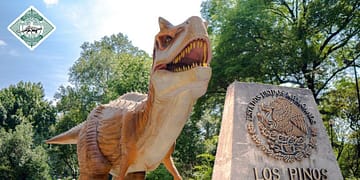 Dinos en los pinos: horario y como llegar
