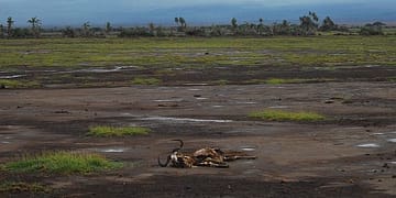 Abordar el cambio climático es la misión más importante de nuestro tiempo, y la innovación y las nuevas ideas son esenciales. Si trabajamos juntos para implementarlas, ofreceremos un mundo mejor para las poblaciones más vulnerables del mundo y para todos nosotros. Foto: Pixabay.