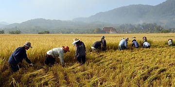 Lejos de desplazar a los trabajadores locales, la migración tiende a impulsar el empleo entre los ciudadanos nativos. Foto: Pixabay.