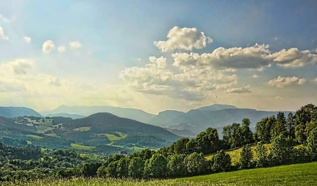 Los líderes mundiales deben aprovechar este momento para crear una agenda de inversiones transformadora que reconozca que, sin la naturaleza, nuestro planeta, y mucho menos nuestras economías, no pueden sobrevivir. Foto: Pixabay.