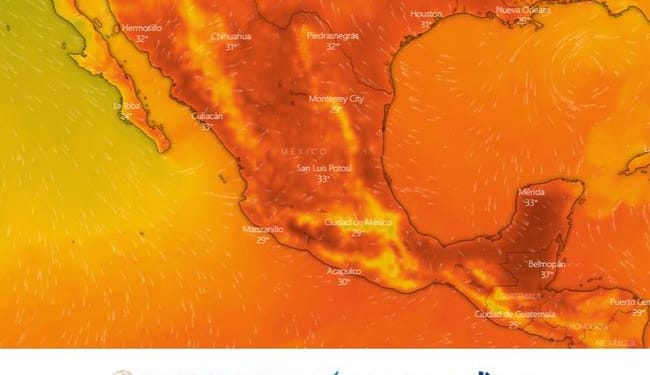 Ola de calor