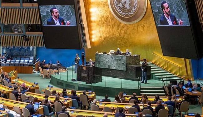 La Declaración Universal nos dice que debemos respetar los derechos de los demás y garantizar que no sean violados. Pero no nos dice cómo. Para ello, debemos involucrarnos en la política, donde se imponen decisiones difíciles. Foto: Wikimedia.