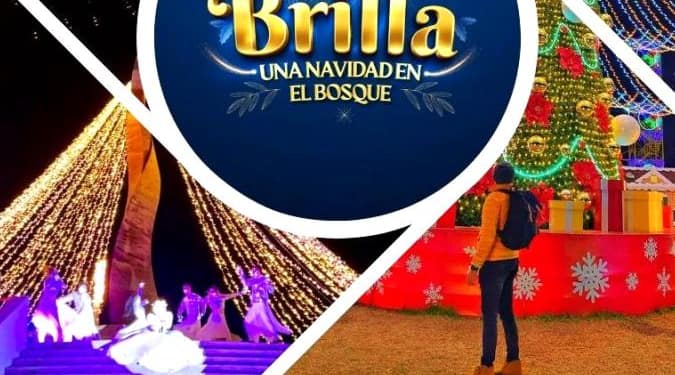 brilla-una-navidad-en-el-bosque