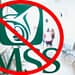 Enfermedades-que-no-cubre-seguro-voluntario-IMSS