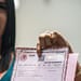 trans-acta-de-nacimiento-Registro-Civil-Universal-FGJ