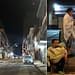 sismo - cdmx - alerta sismica - que hacer despues de un sismo