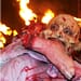 Festival-terror-feratum-patzcuaro