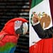 El presidente se siente seguro porque los ataques solo lo "fortalecen". Foto: Capturas de pantalla.