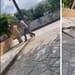 Los jóvenes fueron identificados como Alino Fayad y Edgar Vargas, hijos de ex funcionarios municipales | Foto: Captura de pantalla