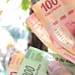billetes