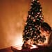 navidad