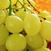 uvas