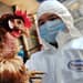 influenza-aviar-nueva-amenaza-pandemia