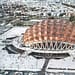 El Palacio de los Deportes formó parte de un plan arquitectónico conocido como Ciudad deportiva de la Magdalena Mixiuhca. FOTO: instagram.com/@palacio_de_los_deportes