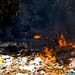 quemar basura es un delito cdmx edomex 2023 multa denuncia demanda vecinos portada