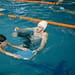 Natación-para-niños-CDMX