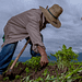 Financiera Rural desaparece. ¿Qué sigue tras el cierre?