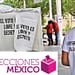 observador-electoral-méxico-elecciones