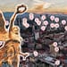 cuantos airbnb hay en ciudad de mexico portada