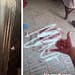 Quién es Yara Fruut Loops La joven señalada por asesinar a un gato en Aguascalientes portada