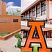 Escuelas más caras de México