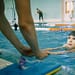clases natación CDMX gratis