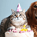 En los últimos año se han implementado curso para la elaboración de repostería para perro y gato.
Imagen: Bing Images Create.