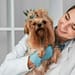5 hospitales gratis para mascotas en CDMX