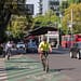 Ciclovía Metropolitana