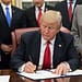 El esfuerzo por eliminar a Trump de la papeleta electoral ha recibido más apoyo en un reciente artículo de dos distinguidos profesores de derecho constitucional. Foto: Wikimedia.