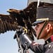 Convocatoria Colegio Militar 2024