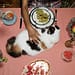 Alimentos que no pueden comer los gatos