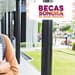 resultados becas y crédito educativo 2023