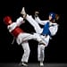 taekwondo gratis: clases en pilares cdmx 2024