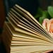 La novela de Cristina Rivera es un homenaje de esta escritora a su hermana Liliana y al invencible verano que en ella descubrió al escribir este texto que a la distancia y después de 30 años, refrenda el vínculo fraterno e indisoluble que existe entre estas dos hermanas. Foto: Pixabay.