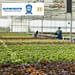guanajuato-apoyo-mi-riego-productivo