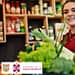 credito-para-locatarios-de-mercados-cdmx