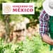 apoyos-para-el-campo-en-mexico