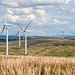 Los países latinoamericanos ya lideran gran parte del mundo en la búsqueda de sistemas energéticos y modelos económicos más ecológicos y sostenibles. Alrededor de un tercio de la energía de la región procede de fuentes limpias, muy por encima de la media mundial del 20%, y el 60% de su electricidad procede ya de fuentes renovables. Foto: Pixabay.