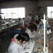 El declive de la industria manufacturera tal vez no se produzca tan rápidamente como en Japón, porque China tiene un mercado interno más grande y un ecosistema industrial más completo, y porque está invirtiendo fuertemente en inteligencia artificial y robótica, lo que podría generar ganancias de productividad. Foto: Pixabay.