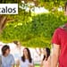 becalos-que-es