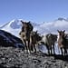 La comunidad mundial debe hacer todo lo que esté a su alcance –desde crear resiliencia climática hasta acelerar la transición verde y promover la cooperación regional– para garantizar un futuro sostenible para los miles de millones de personas que dependen de los glaciares y sus ecosistemas relacionados. Foto: Pixabay.