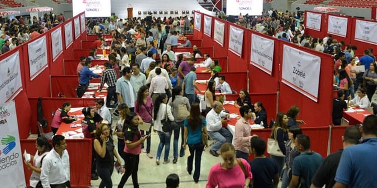 Habrá más de 50 empresas con vacantes disponibles para distintas áreas de estudio, estas son las opciones Foto: Gobierno de México
