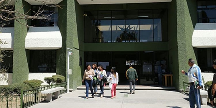 Los resultados de quienes recibirán la beca se darán a conocer en la página de la UAEM a partir del 8 de febrero, te explicamos cómo consultarlos | Foto: UAEM